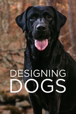 Designing Dogs - Hunde nach Mass