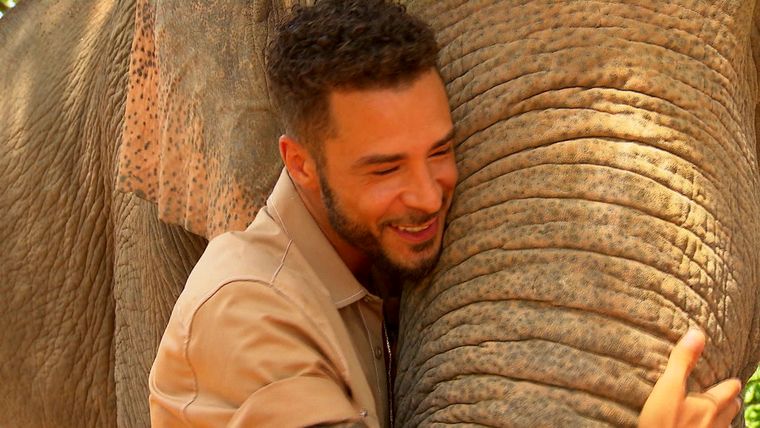 Staffel 12 - Folge 06