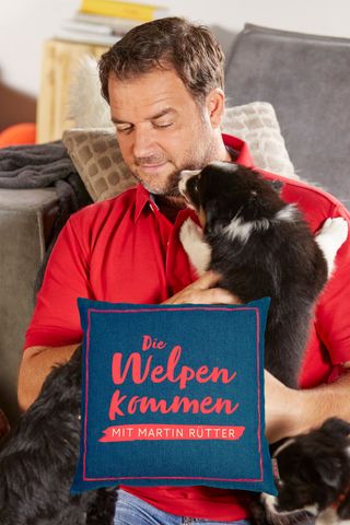 Die Welpen kommen - Mit Martin Rütter