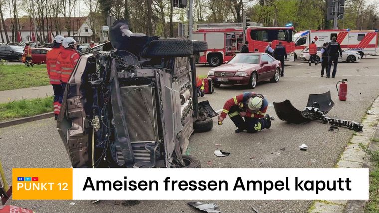 Sendung vom 15.04.2026