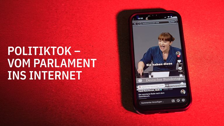 PoliTikTok - Vom Parlament ins Internet
