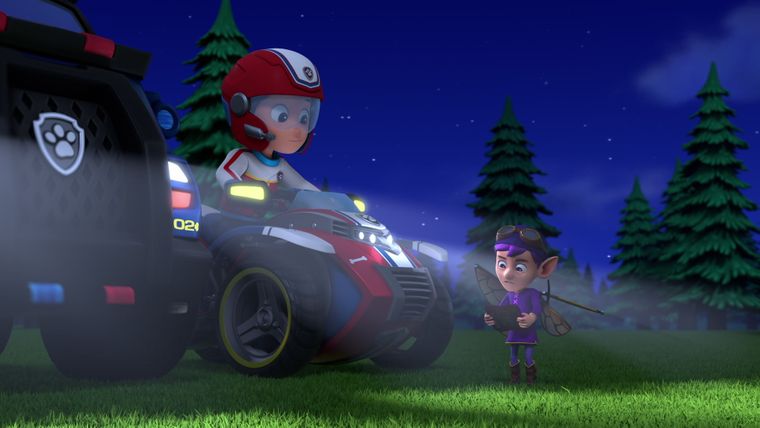 Die Fellfreunde retten die Zahnfee / Die verschwundenen Gemälde