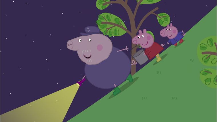 Tiere in der Nacht