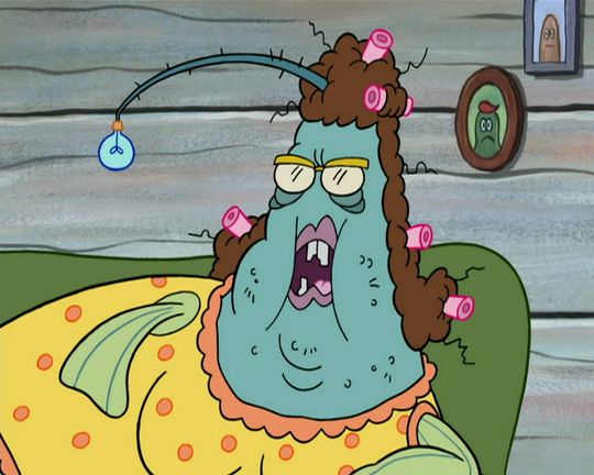 Hinterdeichler / Sponge-Kan