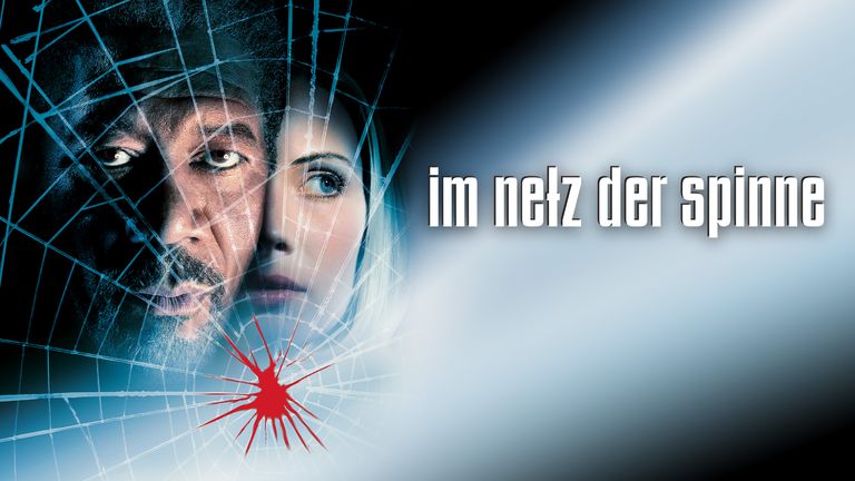 Im Netz der Spinne