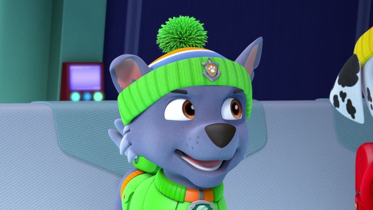 Einsatz auf dem Meer: Die Welpen retten eine eingefrorene Flunder / Die Welpen retten einen Narwal