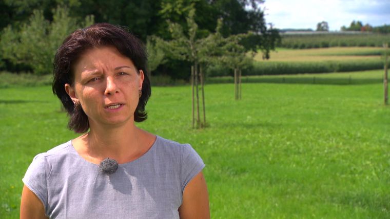 Staffel 13 - Folge 19