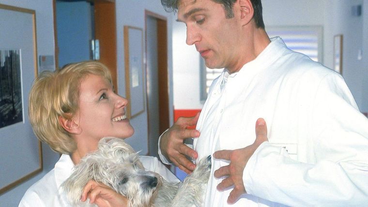 Kampf der Geschlechter