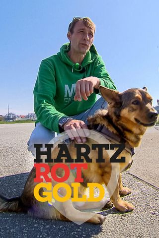 Hartz Rot Gold