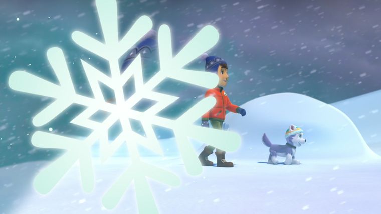 Ein neuer Fellfreund