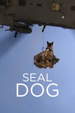 SEAL Dog