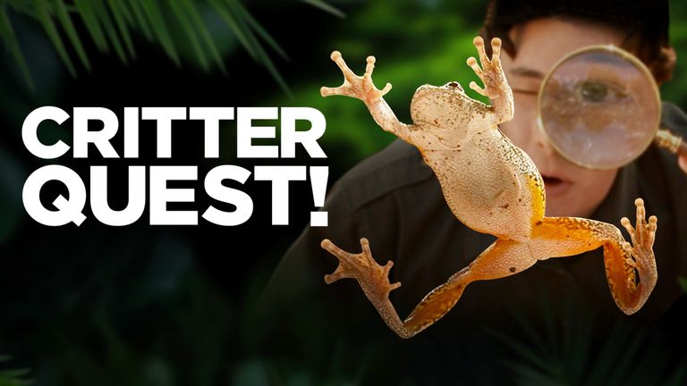 Critter Quest! Auf Safari im Garten