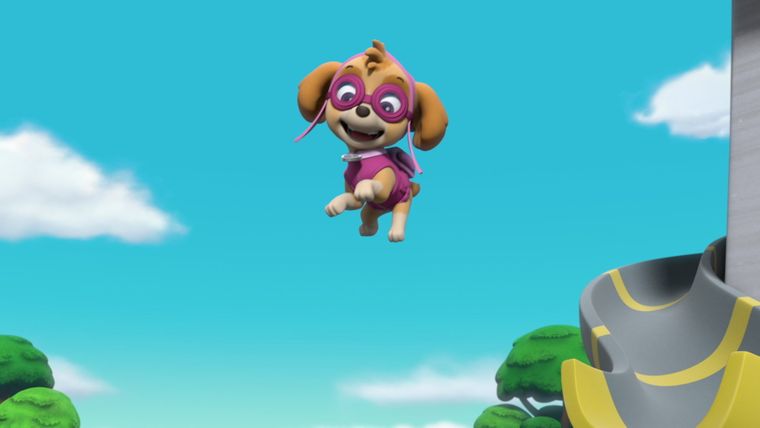 Welpen retten einen Humsquatsch / Welpen holen sich das fliegende Frisbee