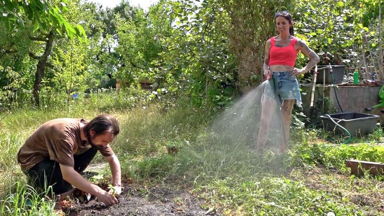 Die Gesundheit im Blick