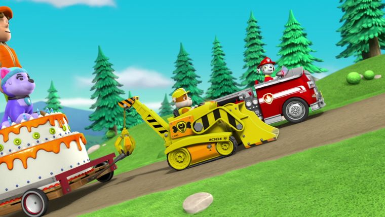 Welpen retten die Geburtstagtorte / Welpen auf der Piste