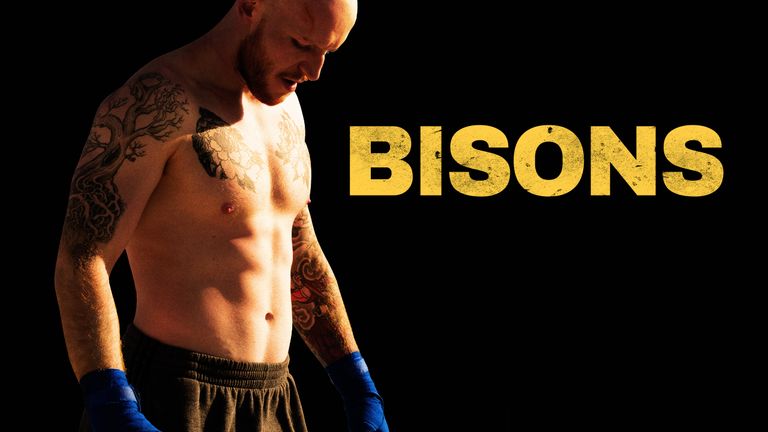 Bisons