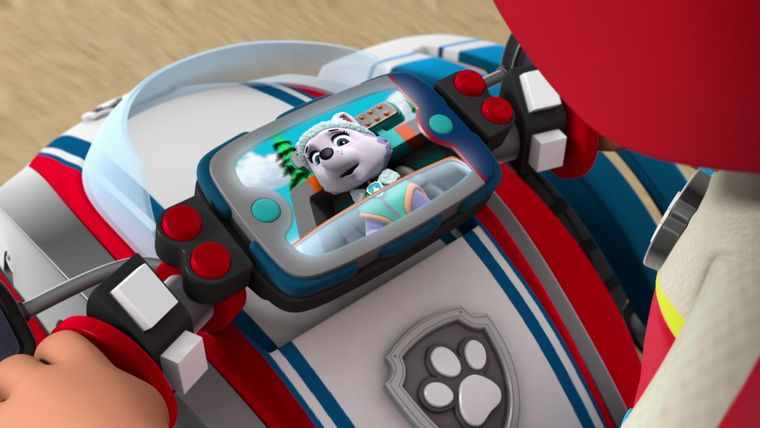 Welpen retten die Schildkröten / Welpen retten das zitternde Schaf