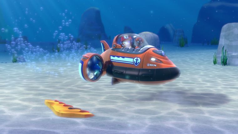 Auf Tauchstation / Biberprobleme