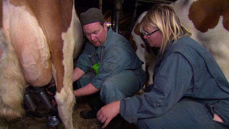 Staffel 15 - Folge 04