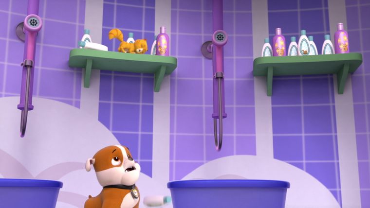 Die Katz-A-Strophe / Die Zugrettung