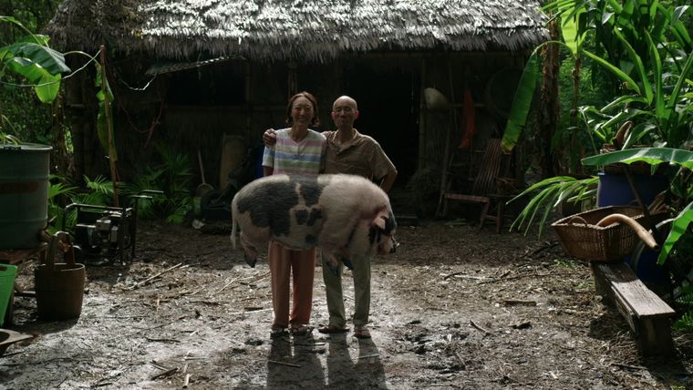 Das schwebende Schwein
