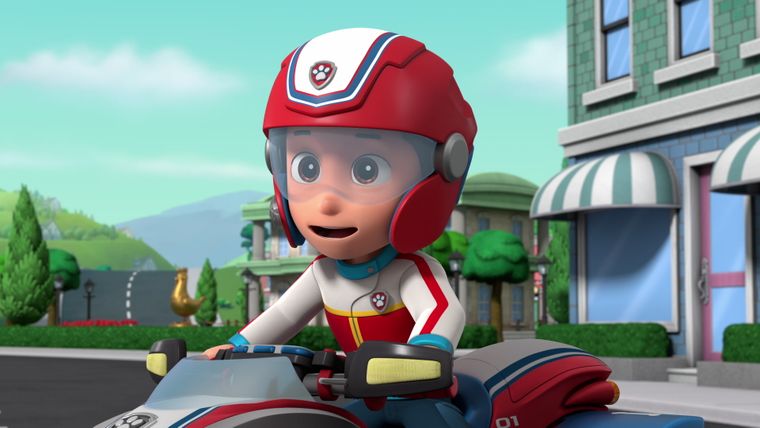 Die Fellfreunde und die Katzen-Bande