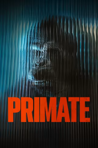 Primate