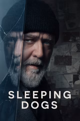 Sleeping Dogs - Manche Lügen sterben nie