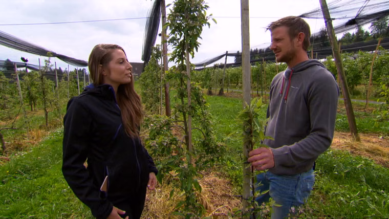 Staffel 15 - Folge 06