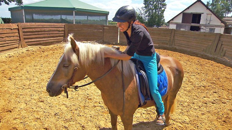 Haflingerstute "Giselle" / Paintwallach "Leroy"