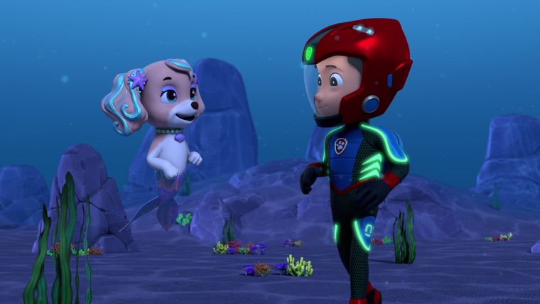 Die Aqua-Hunde retten das Riff / Die Muschel des Silberkalmars