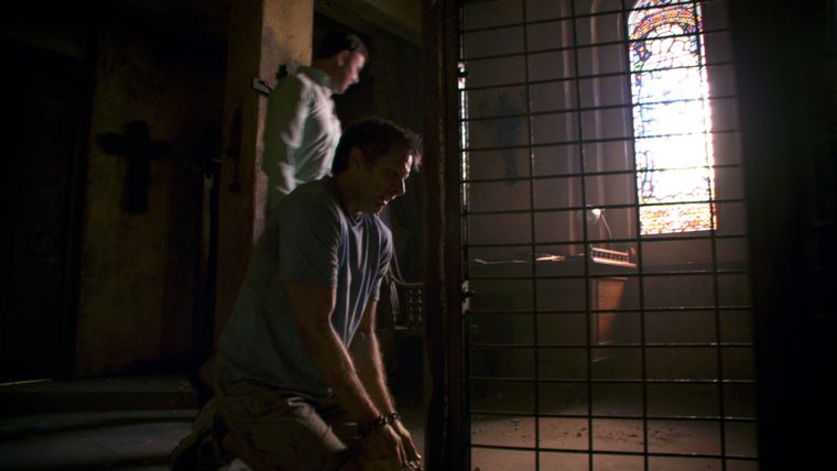 Die Rückkehr der Zahnfee