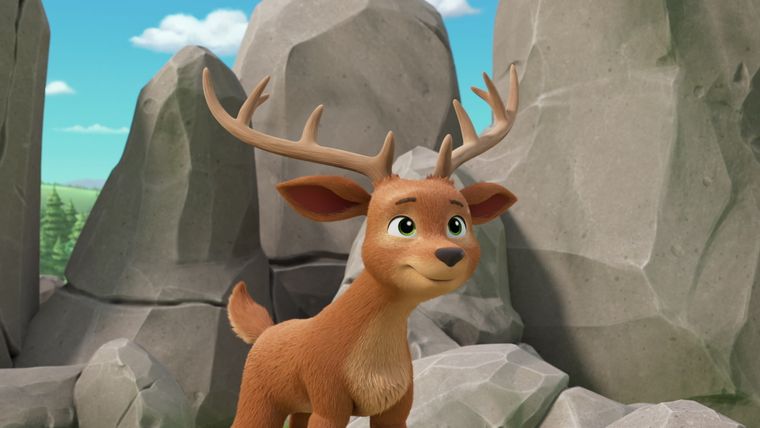 Luftrettung für Danny X / Die Luftakrobatik-Show