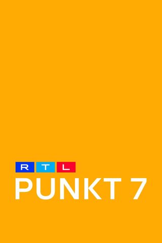 Punkt 7