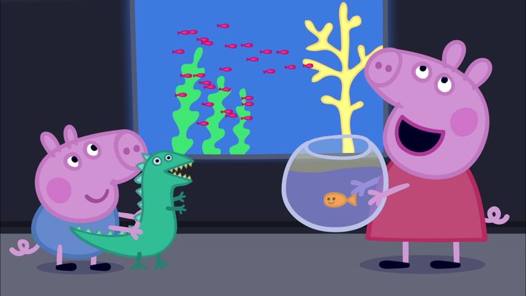 Im Aquarium