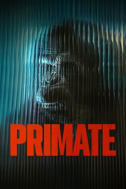 Primate