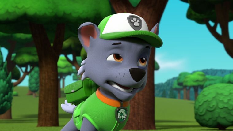 Alle Pfoten halten zusammen!