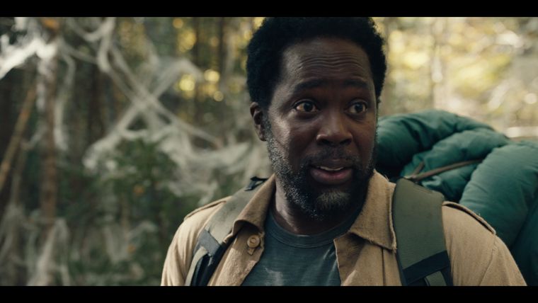 So viel werden wir sehen