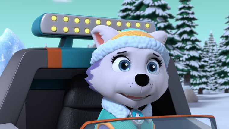 Das Eisbärenjunge / Der Autokino-Abend