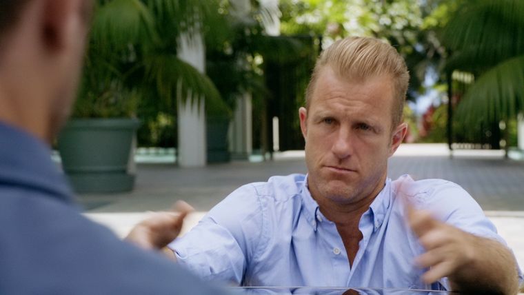 Der gigantische Kokon