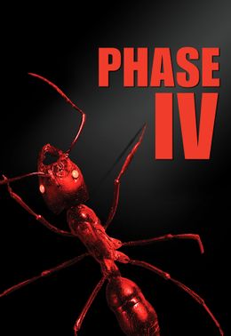 Phase IV